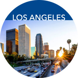 link to Los Angeles County home page